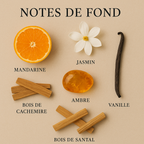 Fragrance World - Ophylia (Brume)